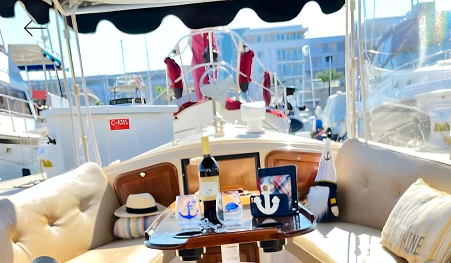 Marina Del Rey Luxury Boat Cruise Wine, Charcuterie Sealions - A calm cruise through Marina del Rey