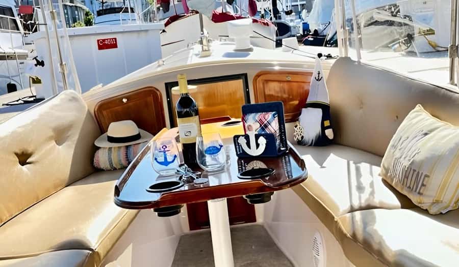 Marina Del Rey Luxury Boat Cruise Wine, Charcuterie Sealions - Who should book this Marina del Rey cruise?