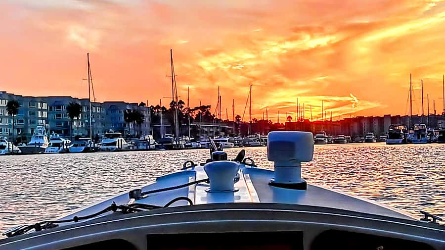 Marina Del Rey Luxury Boat Cruise Wine, Charcuterie Sealions - Wine, cheese, and the standard food package