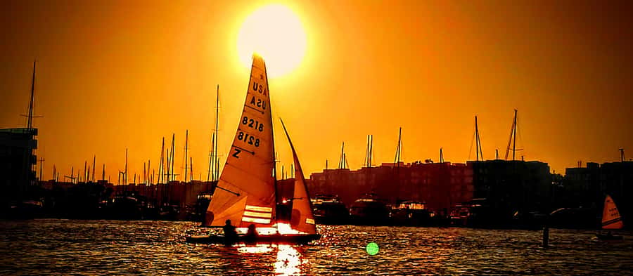 Marina Del Rey Luxury Boat Cruise Wine, Charcuterie Sealions - Sunset gives the cruise its best atmosphere