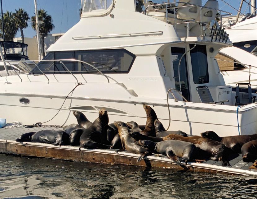 Marina Del Rey Luxury Boat Cruise Wine, Charcuterie Sealions - Is $149 per person a fair price?