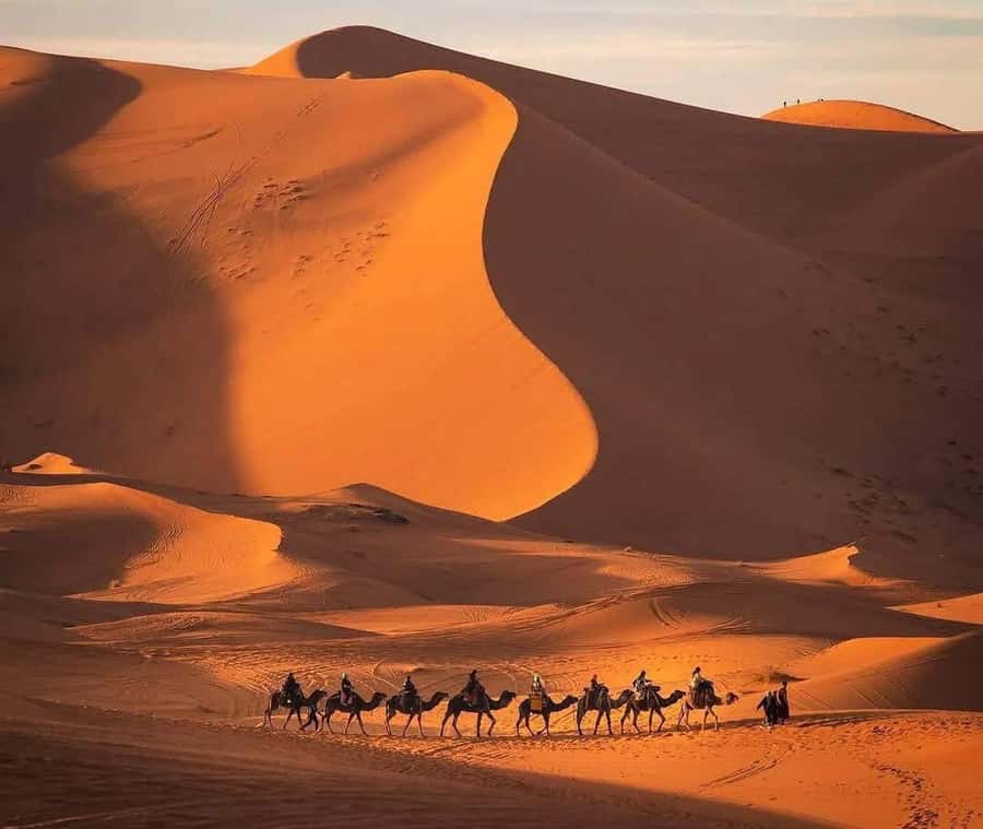 Marrakech: 3-day Exclusive Desert Luxury Tour; Quad & Camels - Day three: Sunrise, breakfast, and the long return