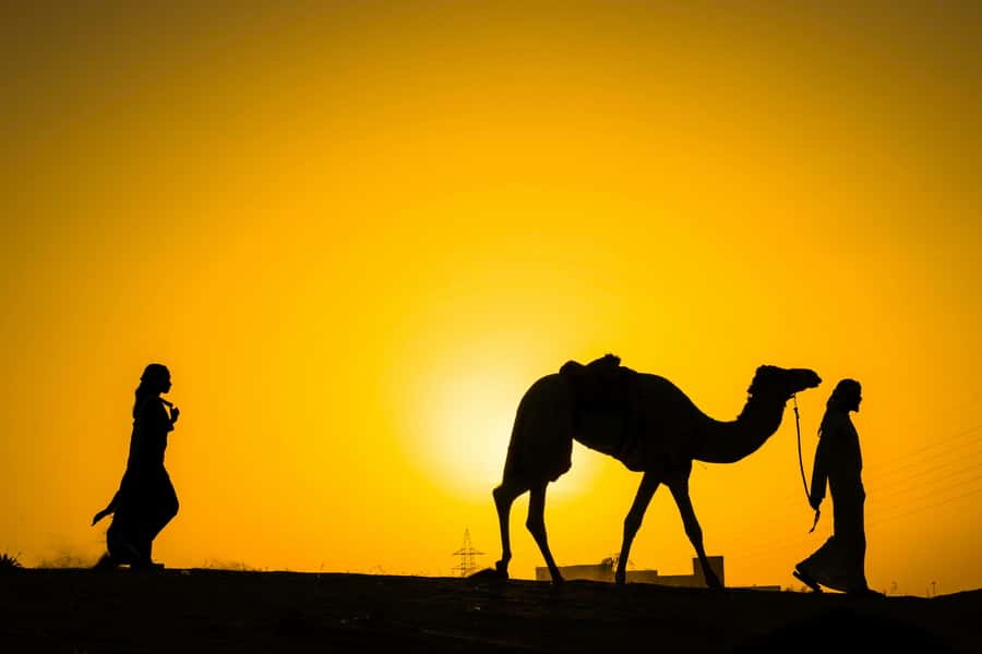 Marrakech : Agafay Desert Sunset Camel Ride & Luxury Dinner - From Marrakech streets to Agafay’s stone hills