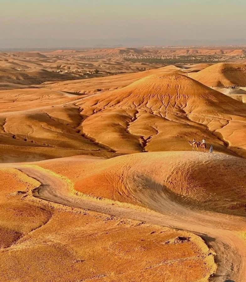 Marrakech : Agafay Desert Sunset Camel Ride & Luxury Dinner - FAQ