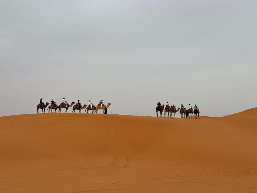 Marrakech to Fes 3-Day Sahara Desert Tour - Day two: Todra Gorge before the Sahara