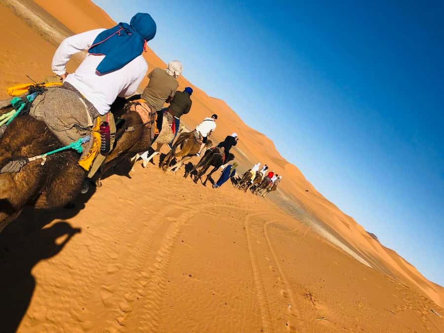 Marrakech To Merzouga : 3-Day Dreams Tours & Luxury Camp - Day two: Todra Gorge and the road to Erg Chebbi