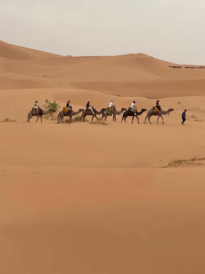 Marrakech To Merzouga : 3-Day Dreams Tours & Luxury Camp - What $208 includes, and where the value lies