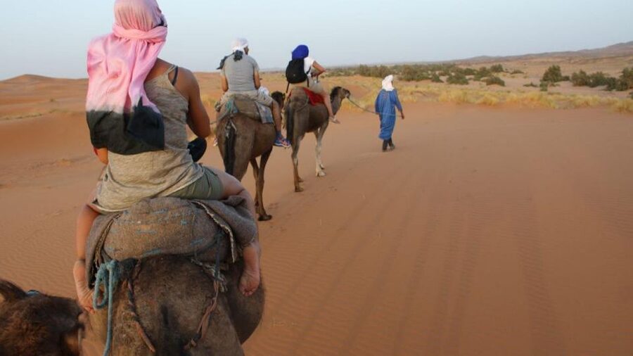 Marrakech to Zagora:2-Day Luxury Sahara Tour with Camel Ride - What $56 really gets you