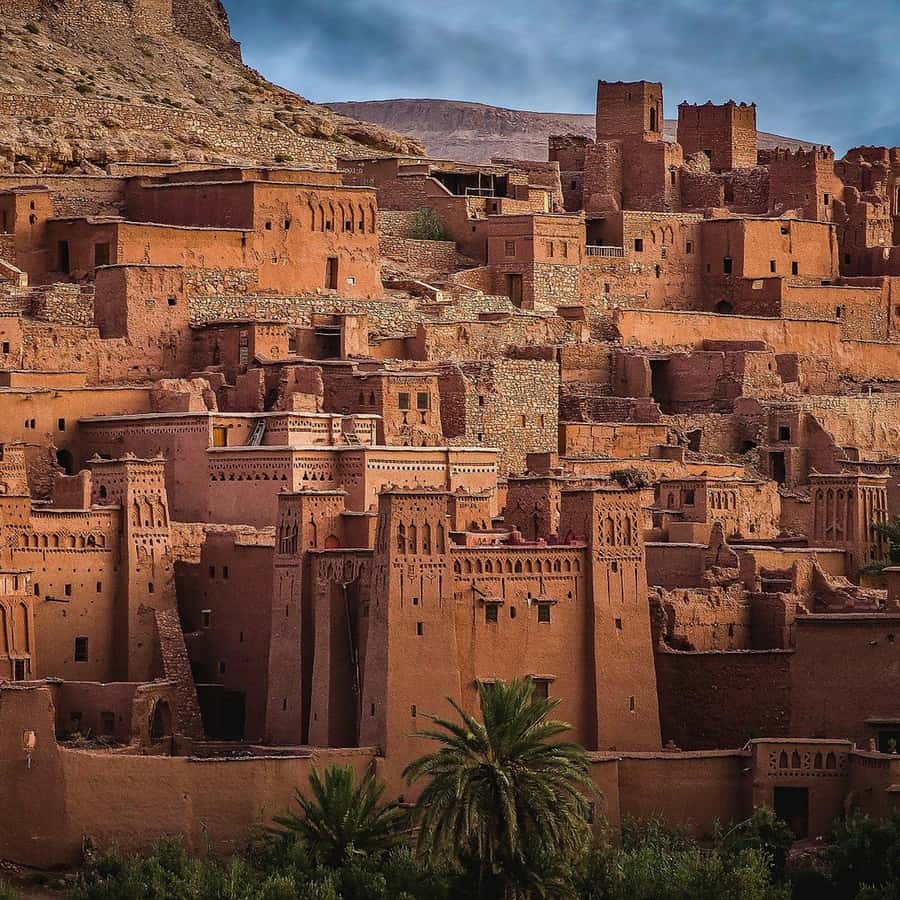 Marrakech to Zagora:2-Day Luxury Sahara Tour with Camel Ride - Sunrise and the long return to Marrakech