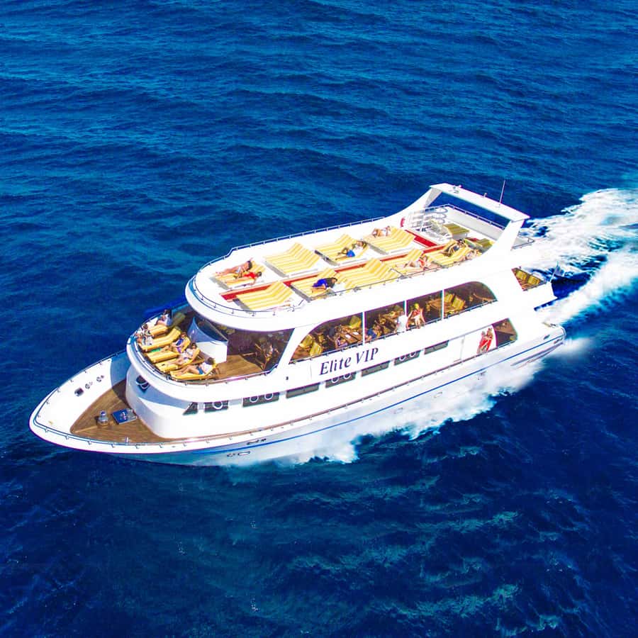 Marsa Alam: Elite vip Turtle bay snorkeling with BBQ Lunch - A more comfortable day boat from Marsa Alam