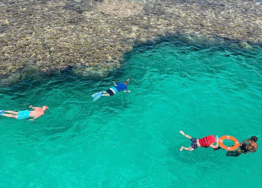 Marsa Alam: Elite vip Turtle bay snorkeling with BBQ Lunch - BBQ lunch and on-board service