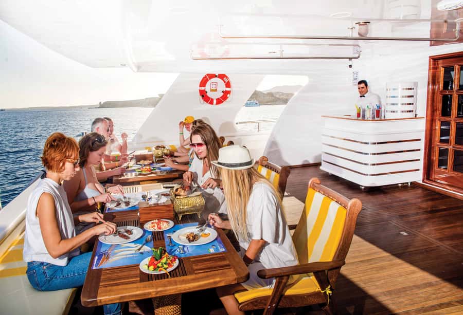 Marsa Alam: Elite vip Turtle bay snorkeling with BBQ Lunch - The bus ride and Port Ghalib departure