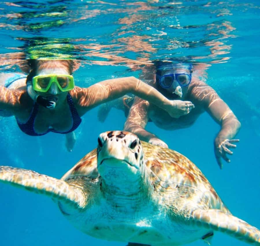 Marsa Alam: Pirates Premium Boat to turtle bay with lunch - The Port Ghalib finish