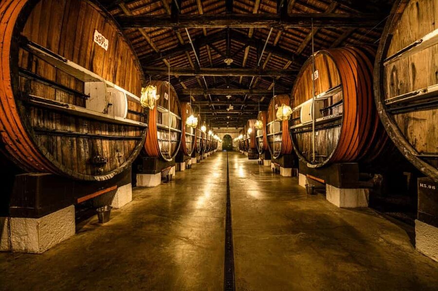Marseillan: La Maison Noilly Prat Premium Tour - A short history of Maison Noilly Prat since 1813