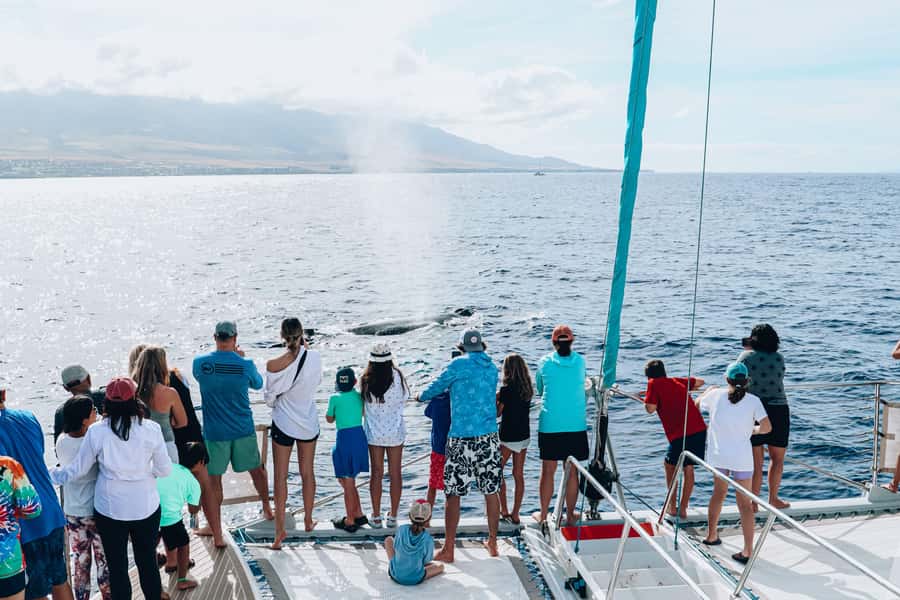Maui: Ka'anapali Whale Watching Cruise on Luxury Sailboat - Timing, Cancellation, and Small Details That Matter