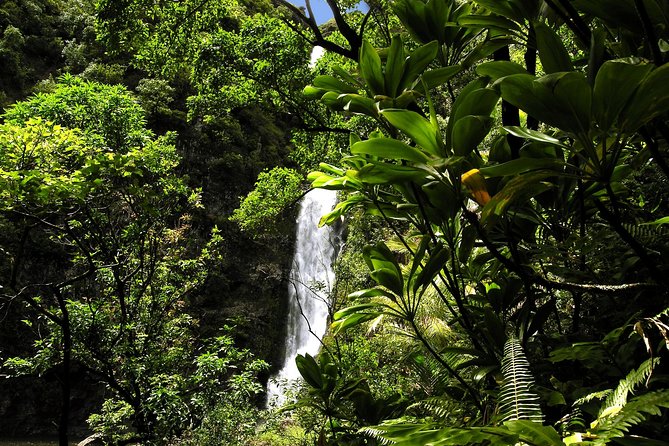 Maui: Road to Hana Luxury Limo-Van Tour with Helicopter Flight - Hana, waterfalls, and a swim break