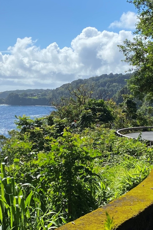 Maui: Road to Hana Private Adventure Tour with Luxury SUV - Laulima Organic Farm and local food stops