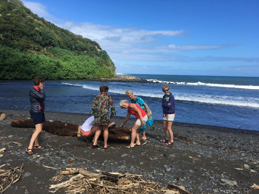 Maui: Road to Hana Private Adventure Tour with Luxury SUV - Oheo Pools and Wailua Falls