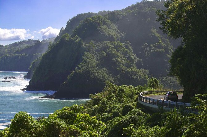 Maui: VIP Private Road to Hana Tour with Pick Up - Key points before you book