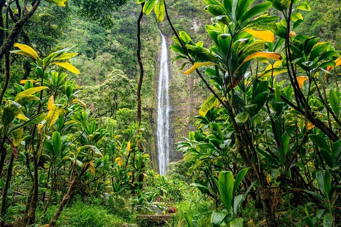 Maui: VIP Private Road to Hana Tour with Pick Up - Upper Waikani Falls is quick but photogenic