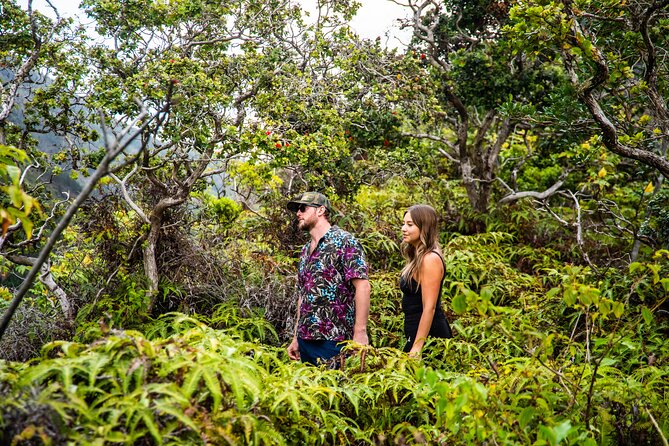 Maui: VIP Private Road to Hana Tour with Pick Up - Hana town deserves more than a meal