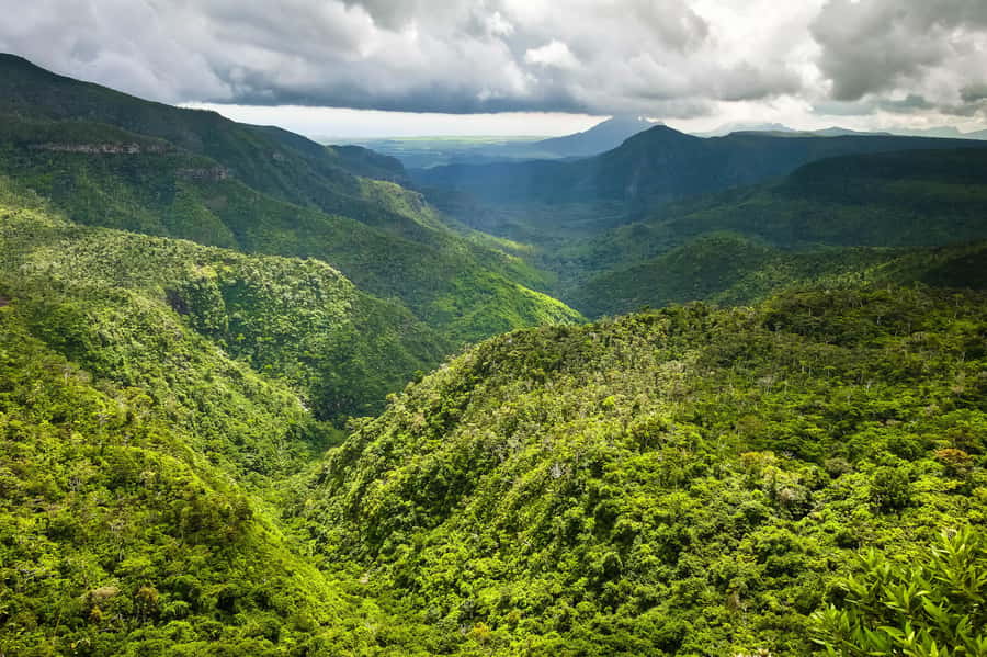 Mauritius: Exclusive South West Tour - Food, shopping, and the extra-cost question