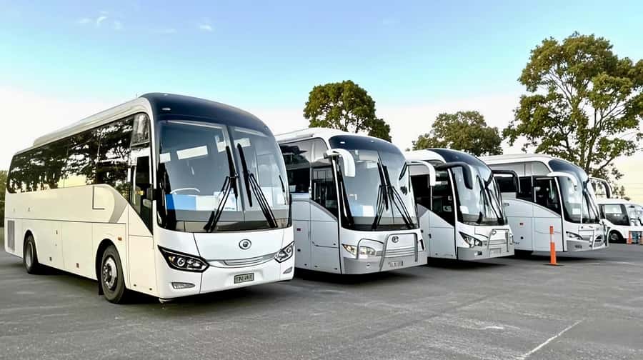 Melbourne Great Ocean Road Benz SmallGroup&LuxCoach BigGroup - Kennett River for koalas and forest air