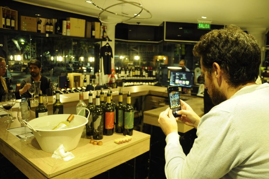 Mendoza: Premium Wine Tasting - Should you book this Mendoza wine tasting?