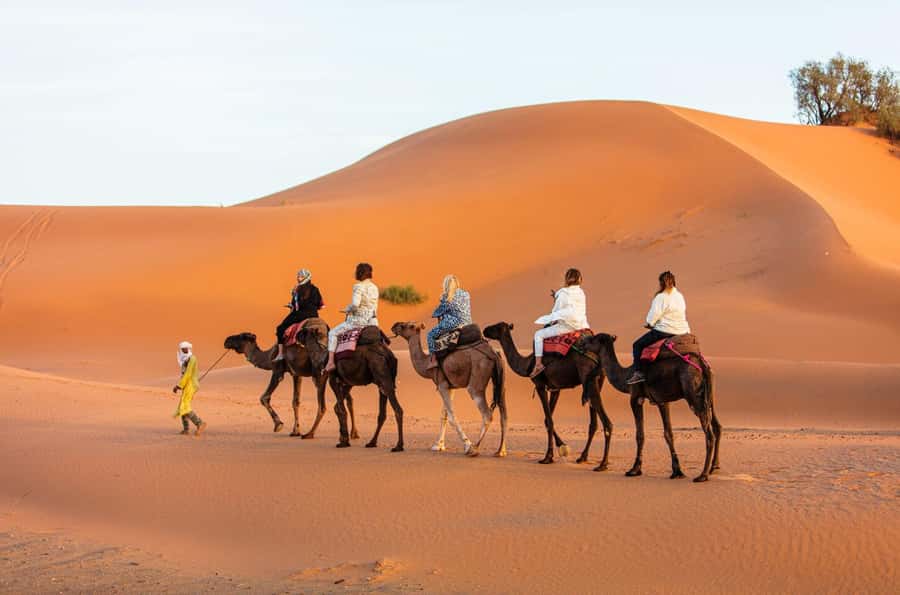 Merzouga: 1-Night in the luxury camp. camel ride & Dinner - Arriving at Merzouga and Meeting the Camel Team
