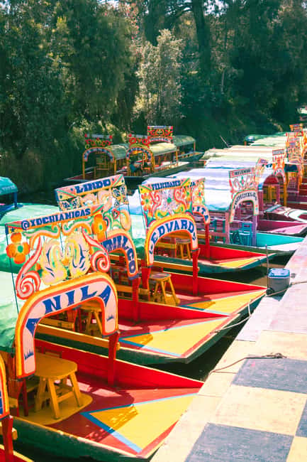 Mexico City: Xochimilco Boat with Guacamole & Premium Drinks - From Canal 237 to the Purple Arches