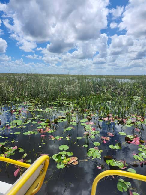 Miami: Everglades Airboat Eco Tour w/ Luxury Transportation - Why this Everglades tour feels different from a standard park visit