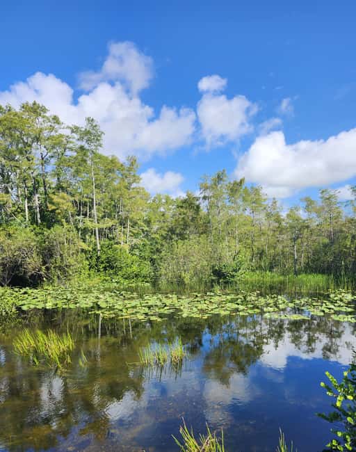 Miami: Everglades Airboat Eco Tour w/ Luxury Transportation - From Miami hotel to the River of Grass