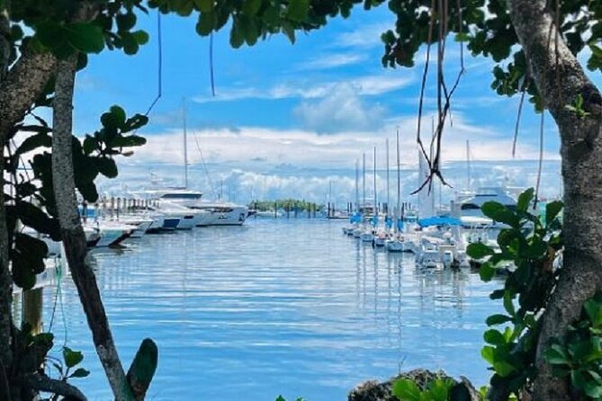 Miami Express Private Boat a 1- Hour Luxury Experience - Bring your own drinks, music, and celebration plans