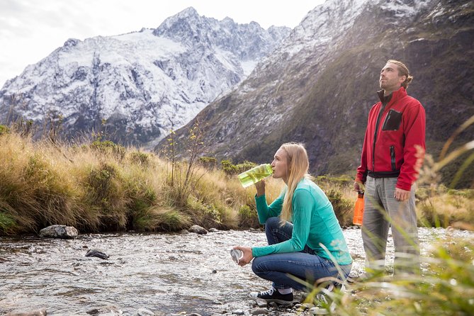 Milford Sound Premium Coach & Cruise from Queenstown with Lunch - Lunch, tea, and the practical food question