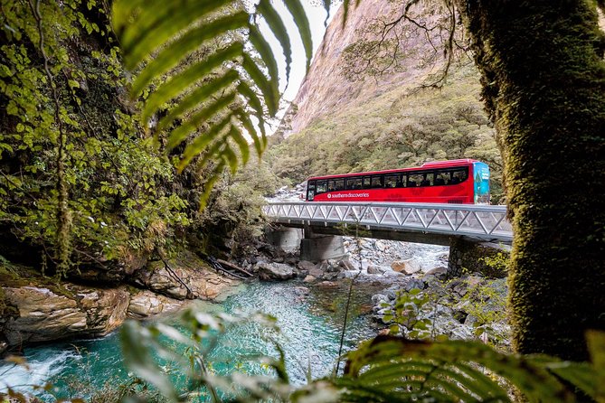 Milford Sound Premium Coach & Cruise from Queenstown with Lunch - Is $214.10 good value?