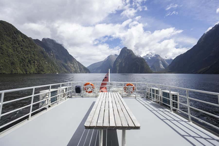 Milford Sound: Premium Small Group Cruise with Canape Lunch - Watching for seals, dolphins, and penguins