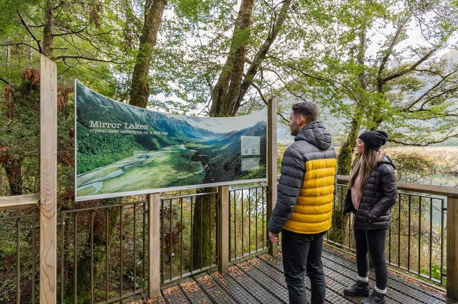Milford Sound: Premium Small Group Tour from Queenstown - Lunch, breaks, and what to pack