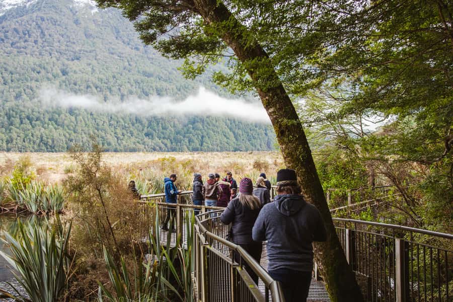 Milford Sound: Premium Small Group Tour from Queenstown - The two-hour Milford Sound cruise