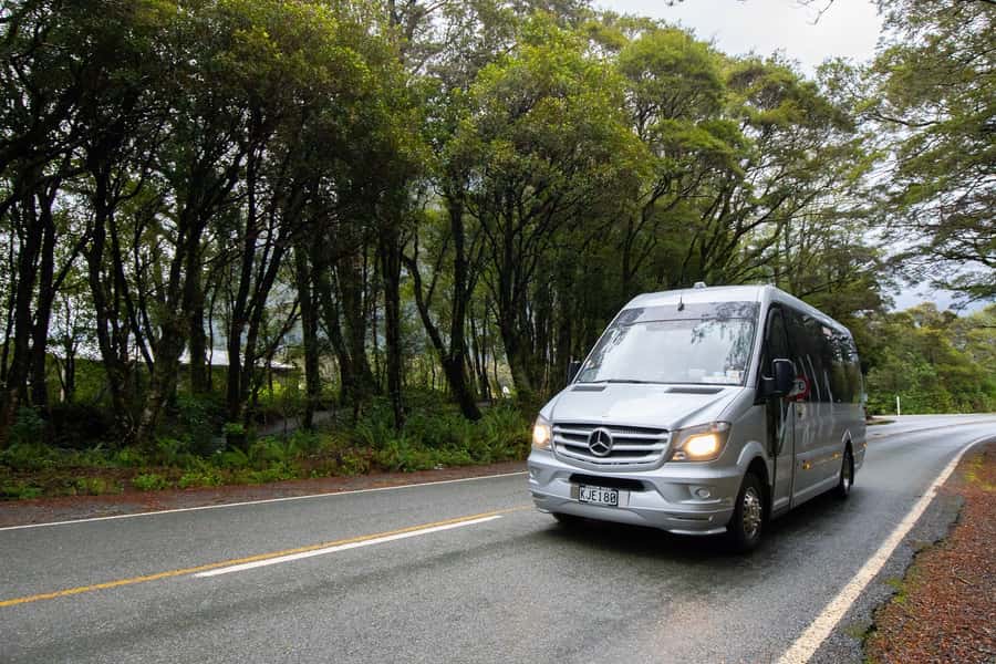 Milford Sound: Premium Small Group Tour from Queenstown - Why rain may be your friend