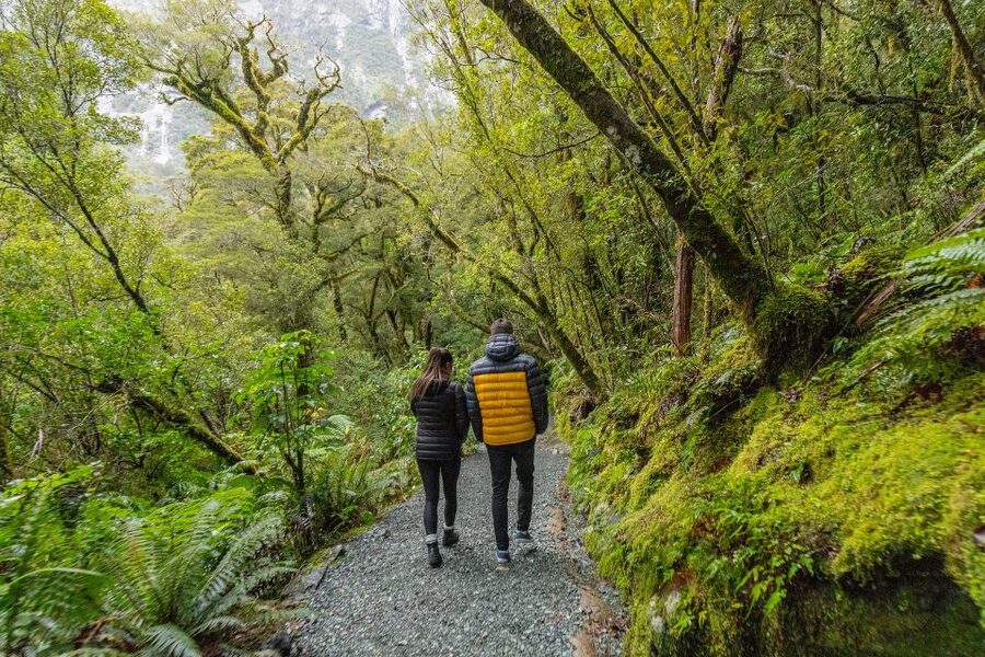 Milford Sound: Premium Small Group Tour from Queenstown - Guides are a major part of the experience