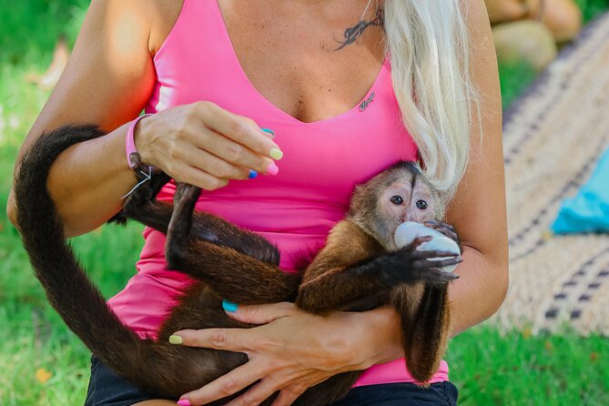 Monkey House VIP Experience with 4 species of monkeys, Punta Cana - Key points to know before you book