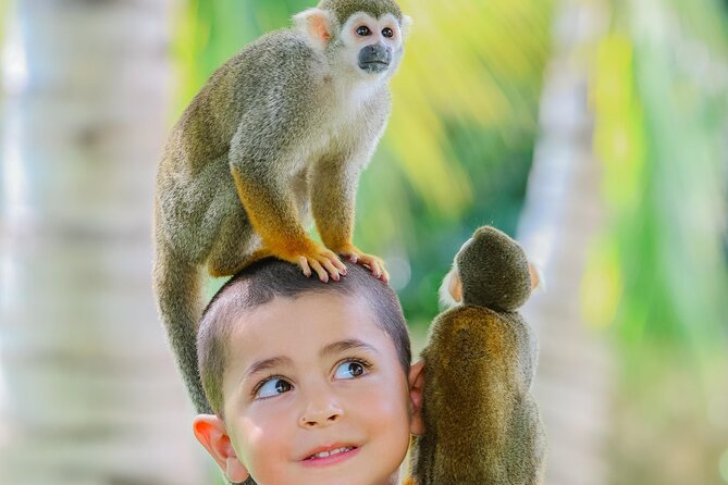 Monkey House VIP Experience with 4 species of monkeys, Punta Cana - Who will enjoy Monkey House most?