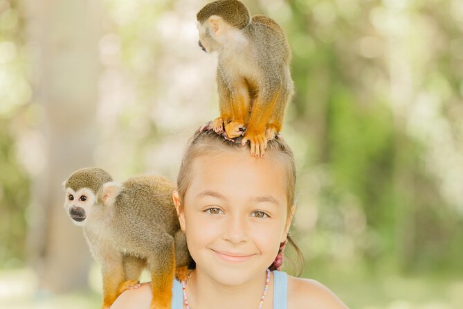 Monkey House VIP Experience with 4 species of monkeys, Punta Cana - What the 2.5-hour visit is like