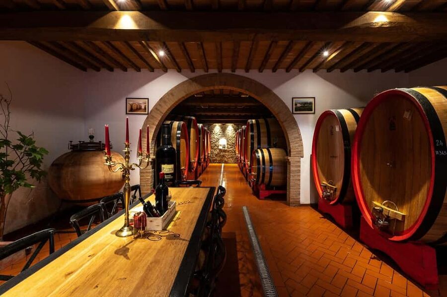 Montalcino: Premium Wine Tasting with light-lunch and Tour - A small estate with grapes from its own vineyards