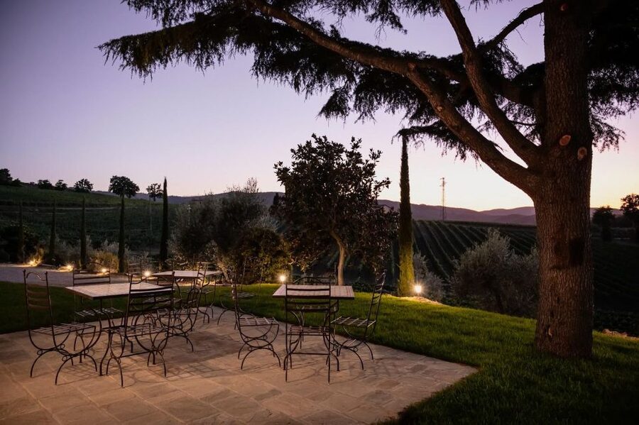 Montalcino: Premium Wine Tasting with light-lunch and Tour - Getting to the winery without a navigation headache