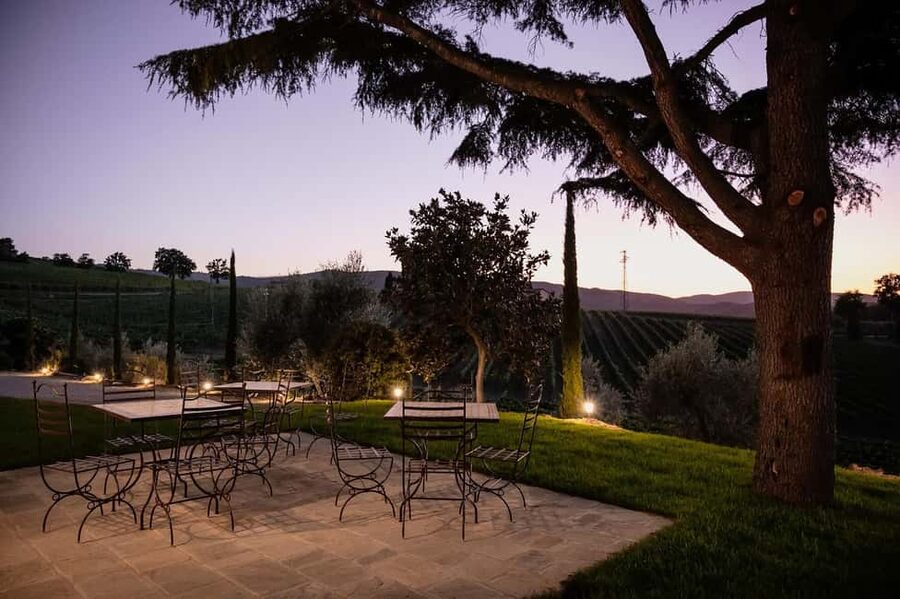 Montalcino: Premium Wine Tasting with light-lunch and Tour - Should you book Il Paradiso di Cacuci?