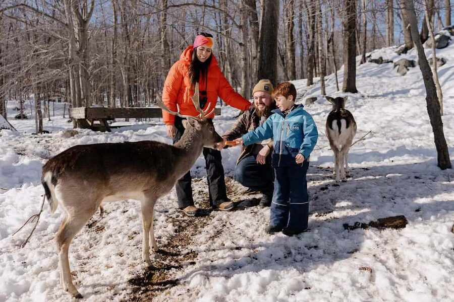 Montebello, QC: Morning VIP Tour at Parc Oméga - Key points to know before booking