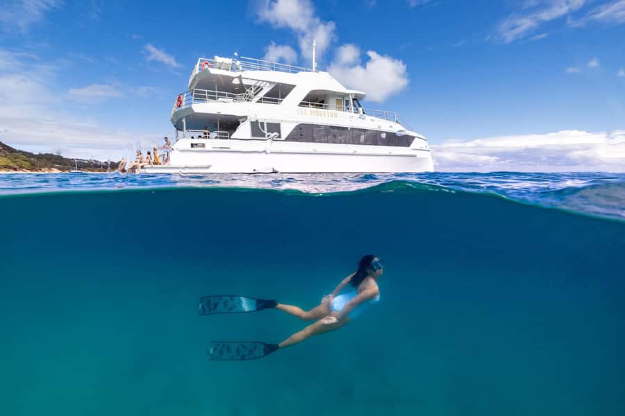 Moreton Island: Dolphin & Tangalooma Wrecks Snorkel Cruise - Key points to know before booking