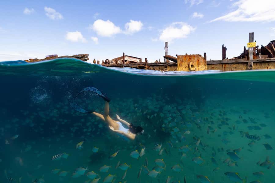 Moreton Island: Dolphin & Tangalooma Wrecks Snorkel Cruise - Five hours on Moreton Island