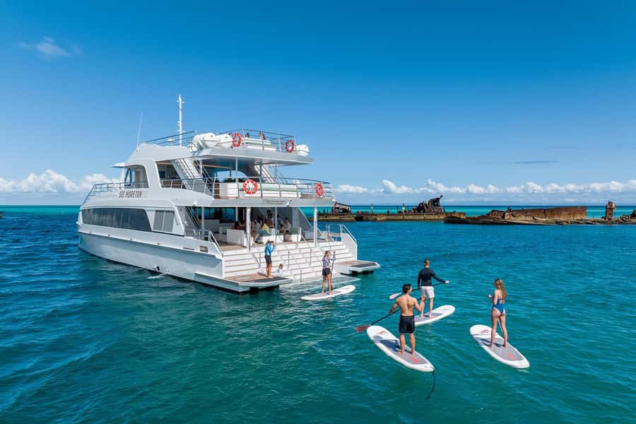 Moreton Island: Dolphin & Tangalooma Wrecks Snorkel Cruise - Is $152 good value?